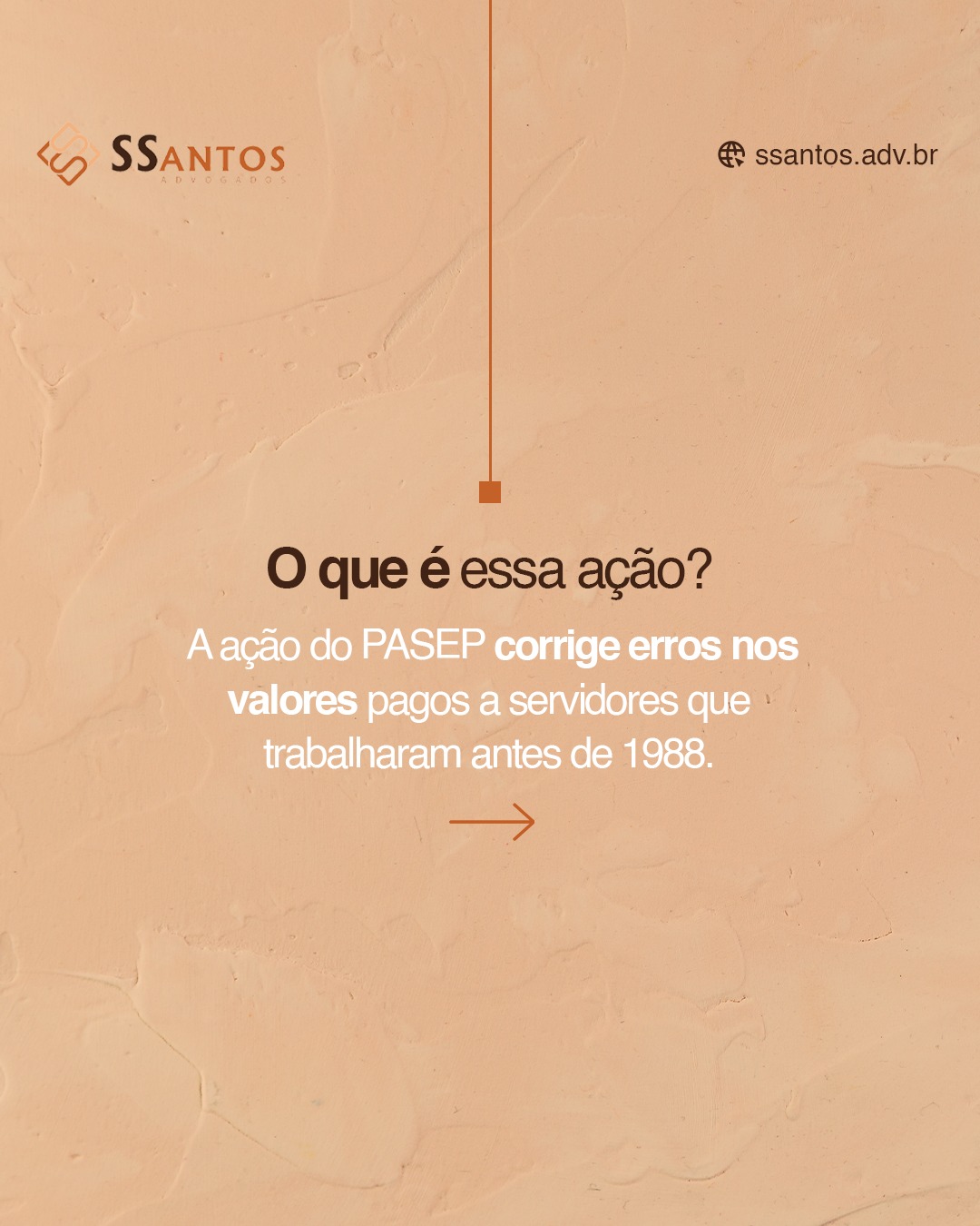 SaveClip.App_491113079_1267936905337570_2250267322985418350_n